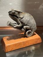 Metalen kameleon, eiken sokkel, Ophalen of Verzenden