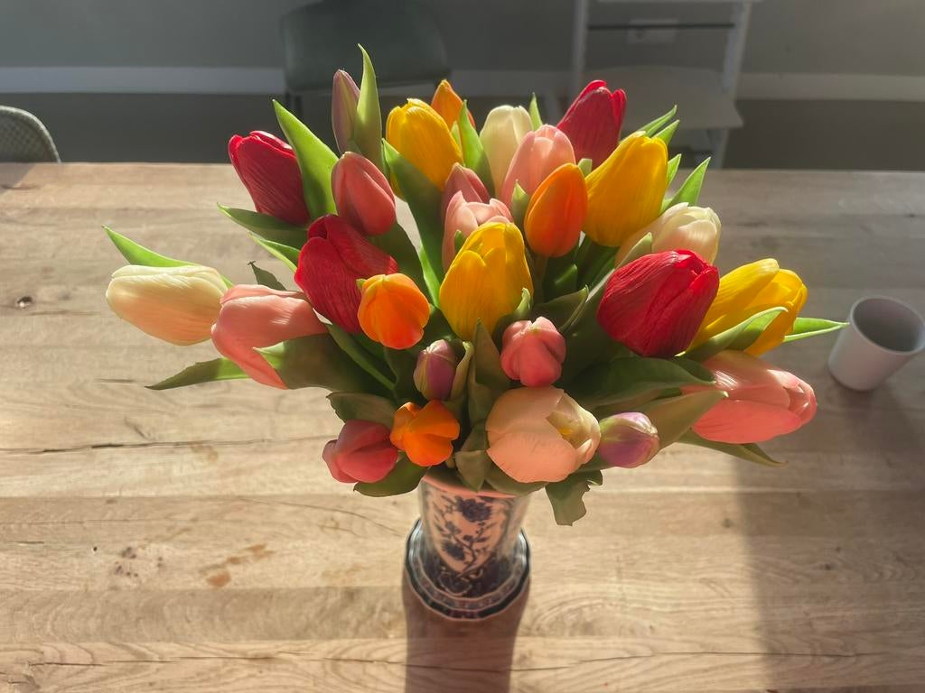 Bos tulpen 28 stuks - nieuw 30cm, Ophalen of Verzenden, Nieuw