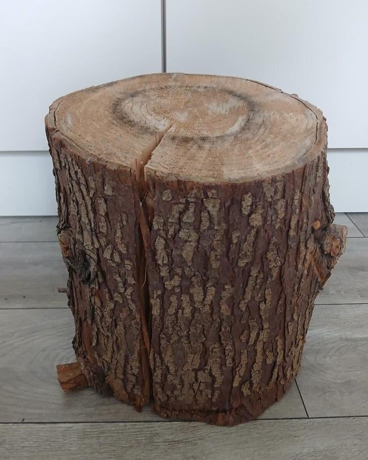 Boomstam stuk met schors - boomstronk droog hout, Ophalen of Verzenden