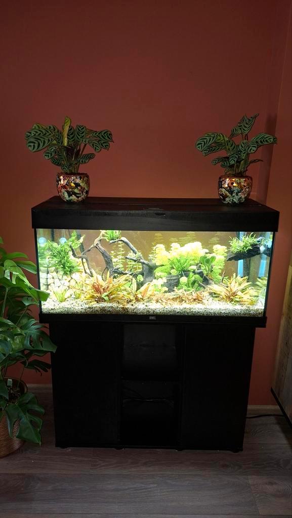 Juwel Rio 180 + zwarte onderkast + Oase BioMaster 850 pomp, Dieren en Toebehoren, Vissen | Aquaria en Toebehoren, Gebruikt, Leeg aquarium