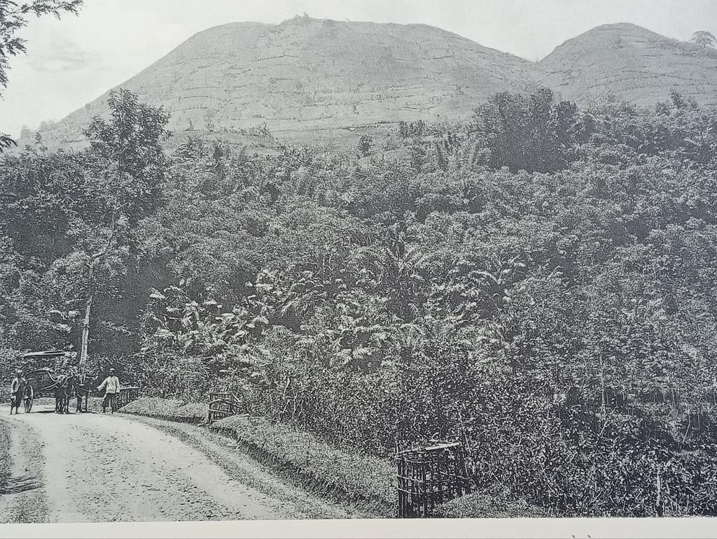Foto gravure Nederlands Indië Indonesië Java 1910, Verzamelen, Ophalen of Verzenden, Voor 1940, Zo goed als nieuw, Buitenland