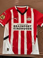 PSV Thuisshirt Seizoen 24-25 Maat M, Maat M, Ophalen of Verzenden, Zo goed als nieuw, Shirt