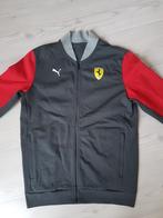 Ferrari Puma heren casual vest in size small, Kleding | Heren, Truien en Vesten, Ophalen of Verzenden, Zo goed als nieuw, Maat 46 (S) of kleiner