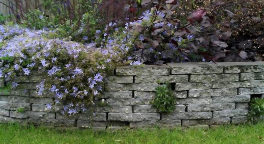 50 halve stoeptegels gratis in Drunen - tegels betontegels, Ophalen, Overige materialen, Minder dan 20 cm, 20 tot 40 cm