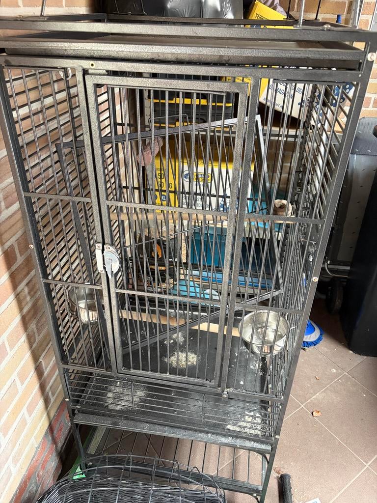 Vogelkooi, Dieren en Toebehoren, Vogels | Hokken en Kooien, Ophalen, Zo goed als nieuw, Metaal, Vogelkooi