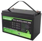 Batterij RICORE LiFePO4 12V 120Ah Accu met Intelligent BMS, Verzenden, Nieuw, Universele onderdelen