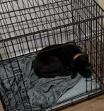 Te Koop, Ophalen of Verzenden, Zo goed als nieuw, Minder dan 75 cm, Minder dan 65 cm