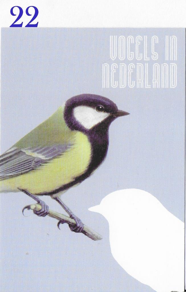 Ansichtkaart Vogels in Nederland Koolmees ( B3952 ), Ophalen of Verzenden, 1980 tot heden, Ongelopen, Vogel