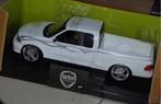 1:18 FORD F150 PICK UP SLAMMED ERTL NIEUW!! in box WRH, Verzenden, Nieuw, Auto, ERTL