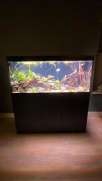 Aqualantis aquarium 1 jaar oud 122x42x56cm en kast, Dieren en Toebehoren, Ophalen of Verzenden, Zo goed als nieuw, Leeg aquarium