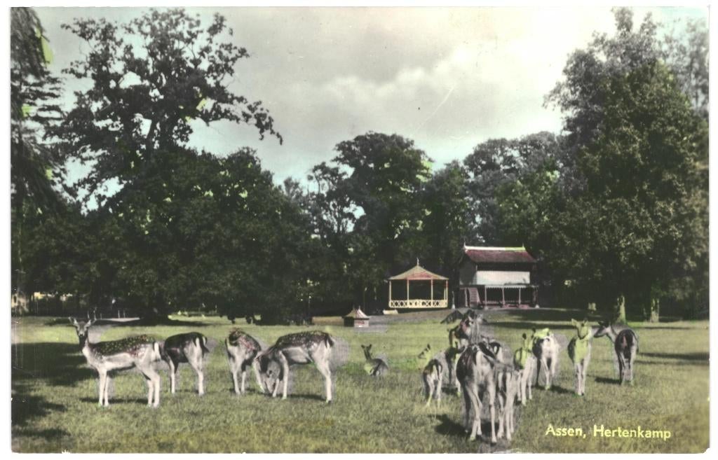 967125	Assen	Hertenkamp	1957	Gelopen met zegel