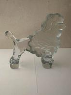 Kosta Boda glazen poedel 97789-3., Ophalen of Verzenden