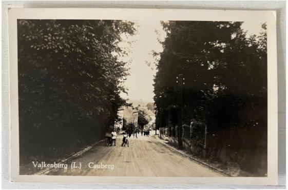 Oude ansicht Valkenburg - Cauberg (1954), Verzamelen, Ophalen of Verzenden, 1940 tot 1960, Gelopen, Limburg