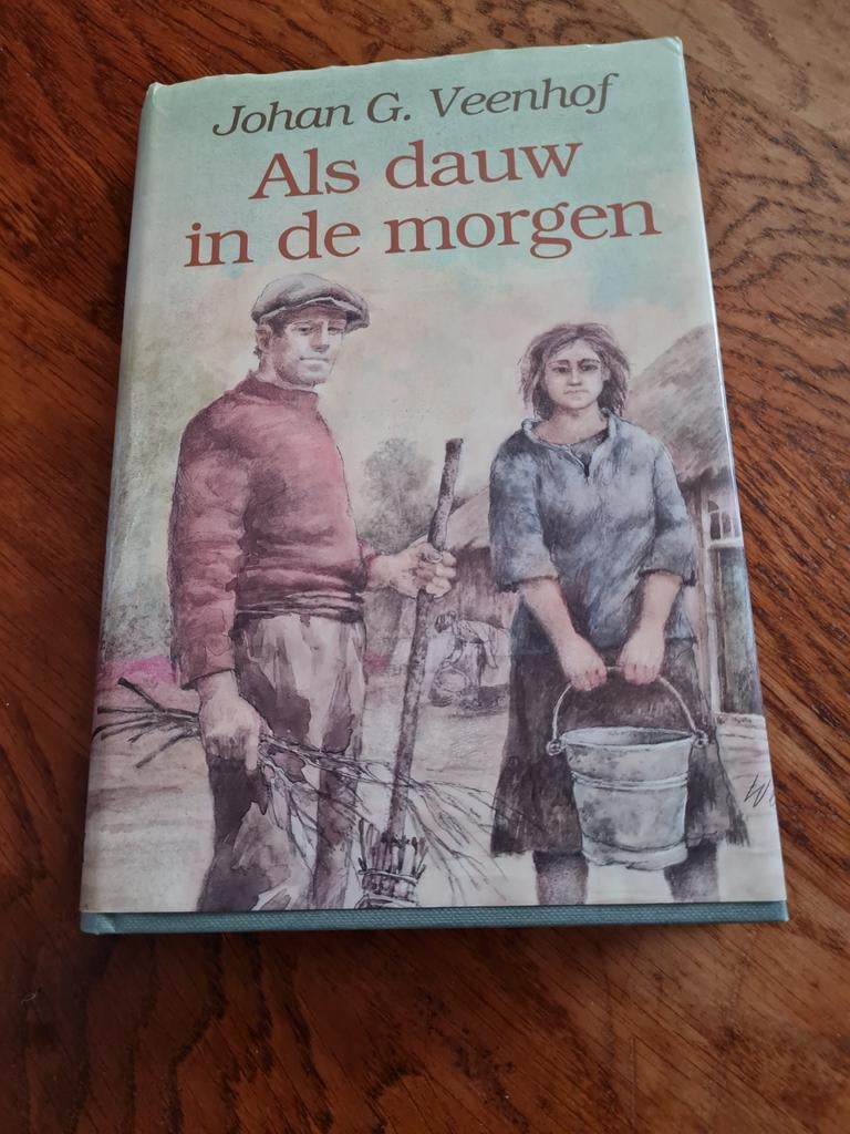 Als dauw in de morgen - Johan G. Veenhof (Streekroman), Boeken, Ophalen of Verzenden, Gelezen