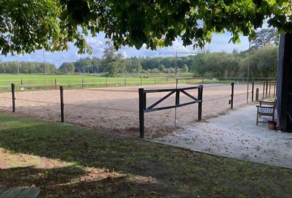 2 stallen vrij voor starter (training/verkoop etc), Weidegang, 2 of 3 paarden of pony's