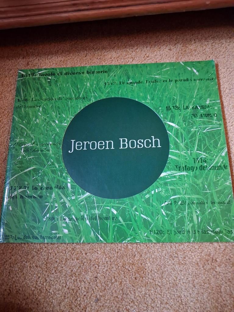 Jeroen Bosch Kunstboek - Groene Omslag, Boeken, Ophalen of Verzenden, Zo goed als nieuw, Overige onderwerpen, Jeroen Bosch