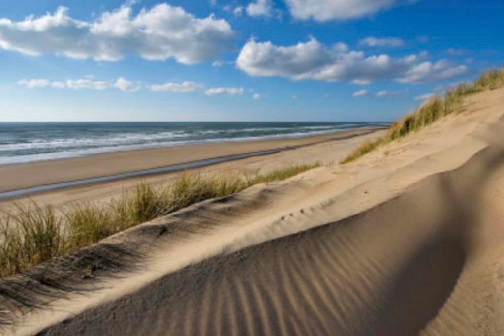 VAAS. Thema: STRAND & DUINEN. Gesigneerd: BOB PARK (UK), Ophalen of Verzenden