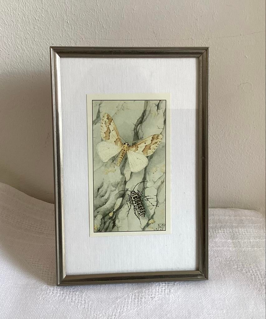 Fotolijstje zilverkleurig hang/staan 14,3 x 9,3 cm, Ophalen of Verzenden, Gebruikt