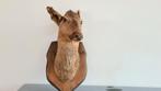 Hertenkop, Ophalen of Verzenden, Zo goed als nieuw, Beeldje of Figuurtje