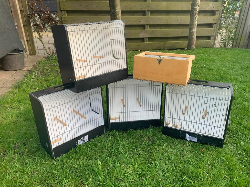 TT-kooitjes , gebruikt, Dieren en Toebehoren, Vogels | Hokken en Kooien, Ophalen, Gebruikt, Hout, Vogelkooi