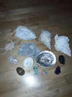 Schelpen,  mineralen en fossielen, Verzamelen, Ophalen of Verzenden, Schelp(en)