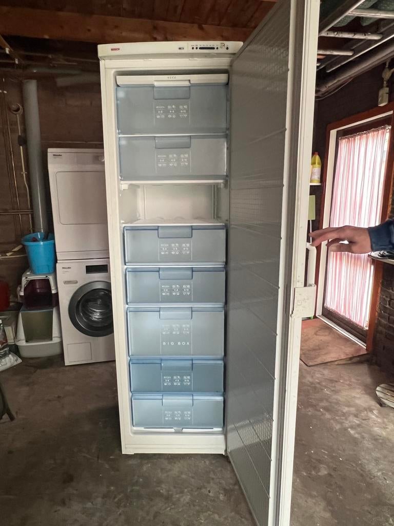 Diepvrieskast “Bosch”, Witgoed en Apparatuur, Vriezers en Diepvrieskisten, 160 cm of meer, Zo goed als nieuw, Ophalen, Vrieskast