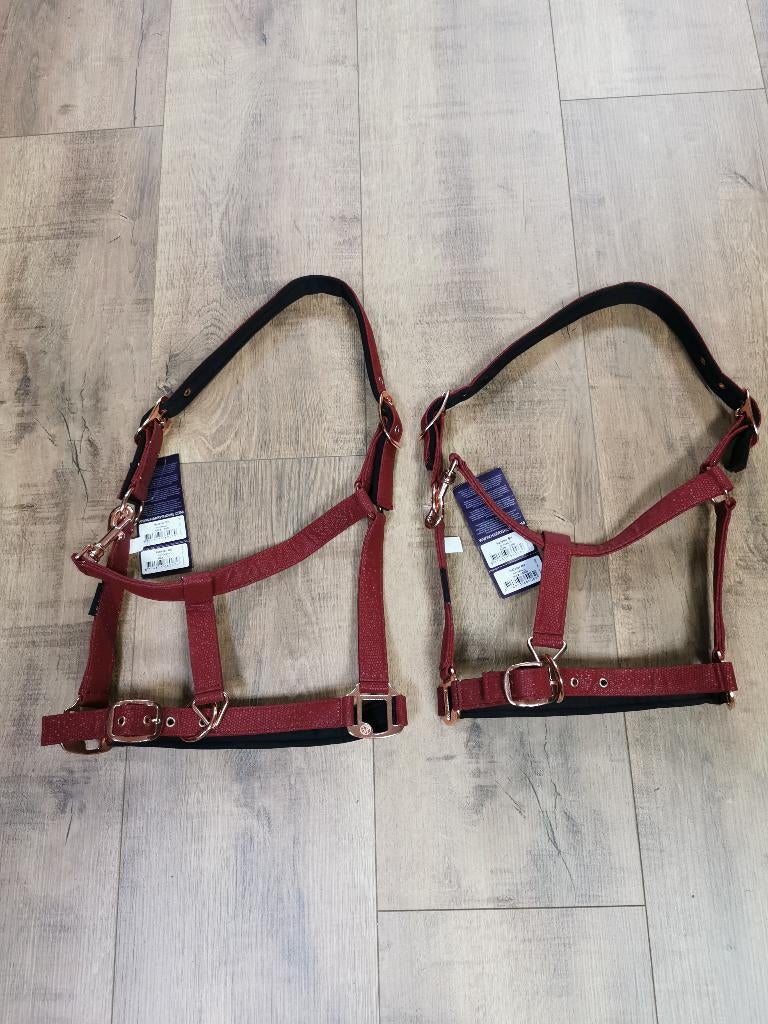 HarrysHorse halster bordeaux maat cob en full verkrijgbaar, Dieren en Toebehoren, Eu, Ophalen of Verzenden, Eu, Harryshorse
