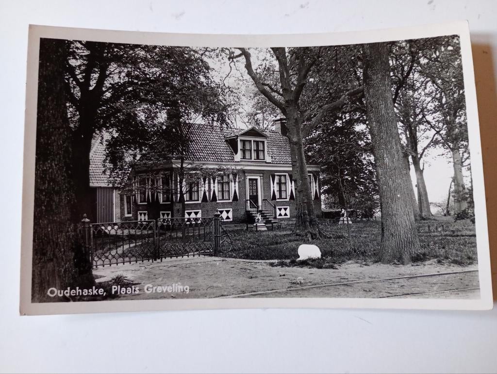 Oudehaske Plaats Greveling 1953, Ophalen of Verzenden, 1940 tot 1960, Gelopen, Friesland