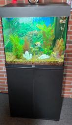 Aquarium, Ophalen of Verzenden, Zo goed als nieuw
