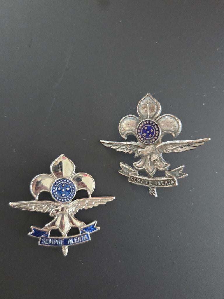 Scouting Brazilië Luchtverkenners hoedspelden baretemblemen, Ophalen of Verzenden, Gebruikt, Embleem, Speld of Insigne
