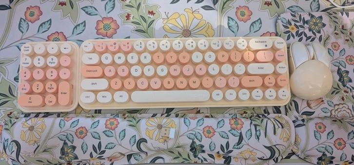 Draadloos toetsenbord, nummerpad en muis (konijn), Computers en Software, Toetsenborden, Zo goed als nieuw, Qwerty, Draadloos