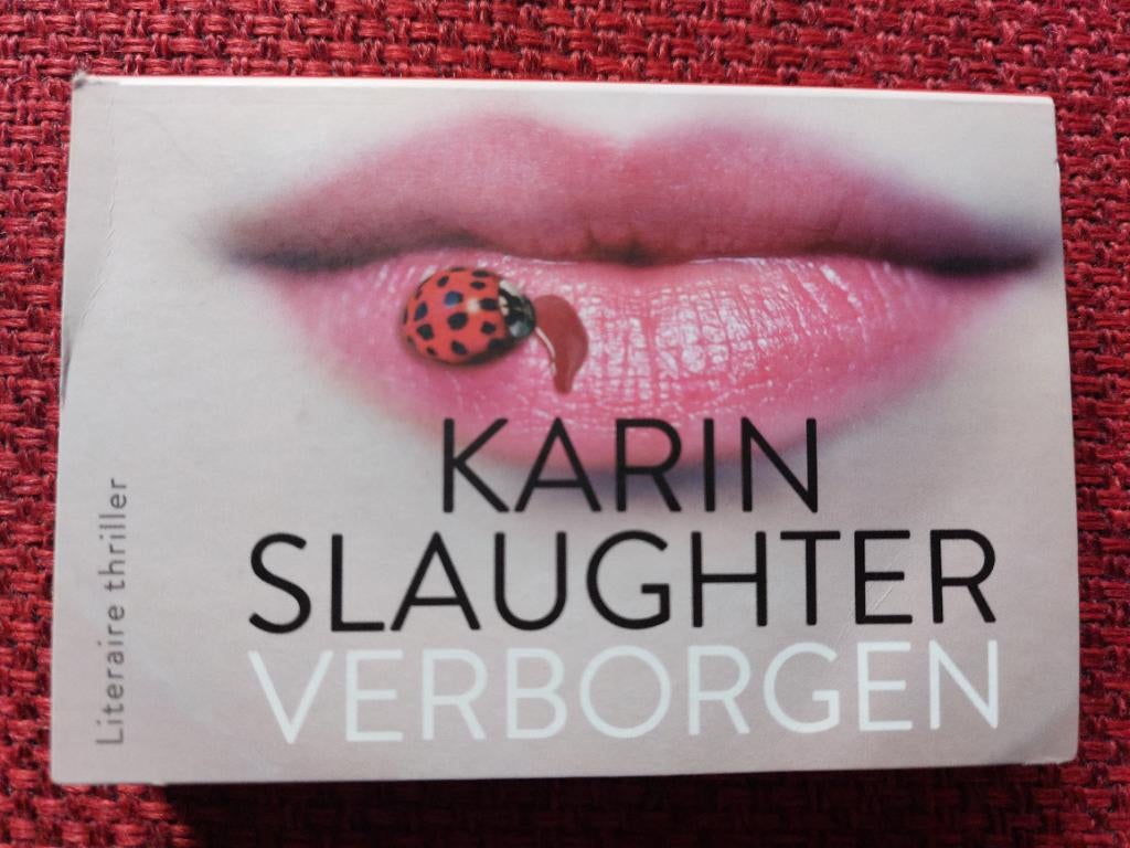 Verborgen - karin slaughter- dwarsligger 525, Boeken, Thrillers, Ophalen of Verzenden, Gelezen, Karin Slaughter
