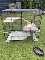 Hamsterkooi inclusief alles wat erbij hoort, Kooi, Hamster, Minder dan 75 cm, Zo goed als nieuw
