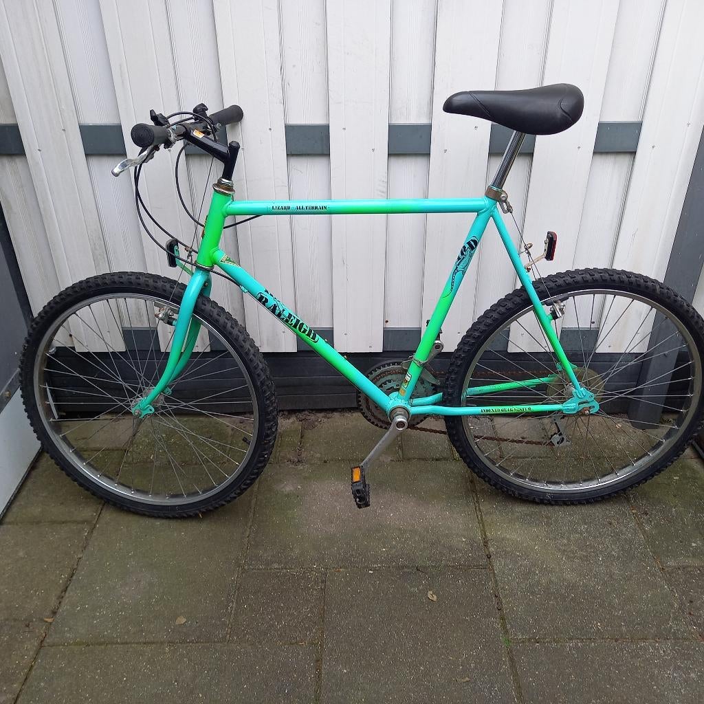 Raleigh 26 inch 58 cm., Fietsen en Brommers, Fietsen | Mountainbikes en ATB, 57 cm of meer, Ophalen, Gebruikt, Overige merken