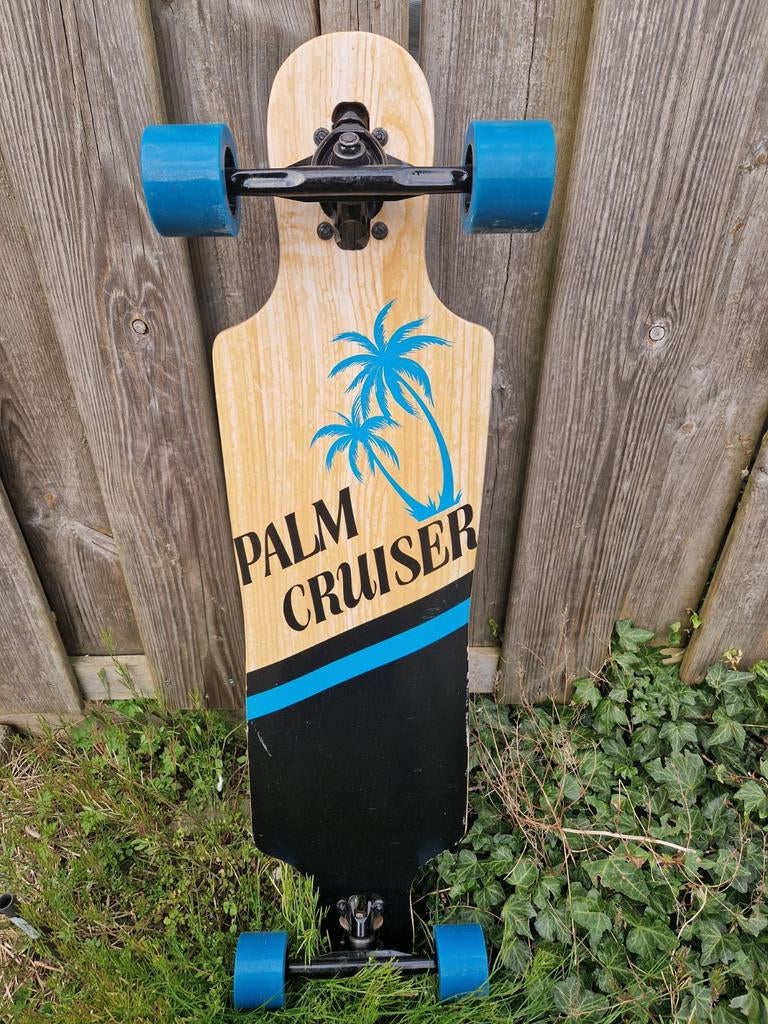 Long board palm, Sport en Fitness, Skateboarden, Ophalen of Verzenden, Longboard