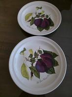 Portmeirion pomona diener borden 2x 27cm, Ophalen of Verzenden, Zo goed als nieuw, Bord(en), Overige stijlen