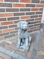 betonbeeld Labrador, Ophalen, Nieuw, Beton, Dierenbeeld
