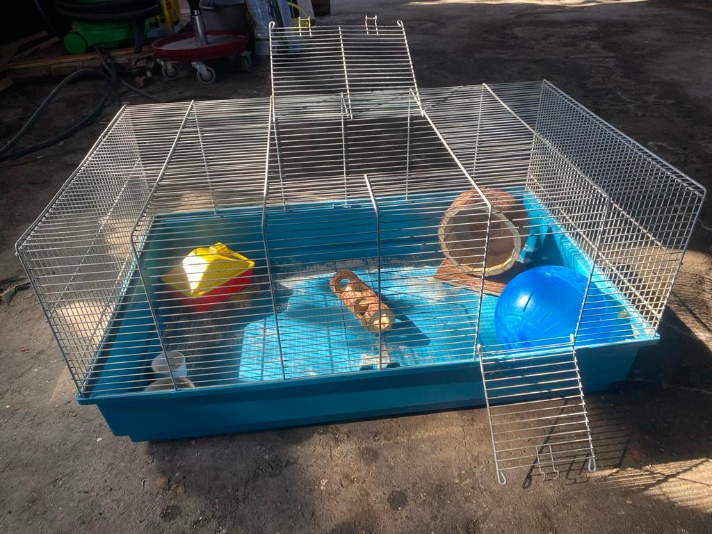 knaagdieren kooi met toebehoren, Ophalen, Kooi, Gebruikt, 60 tot 90 cm