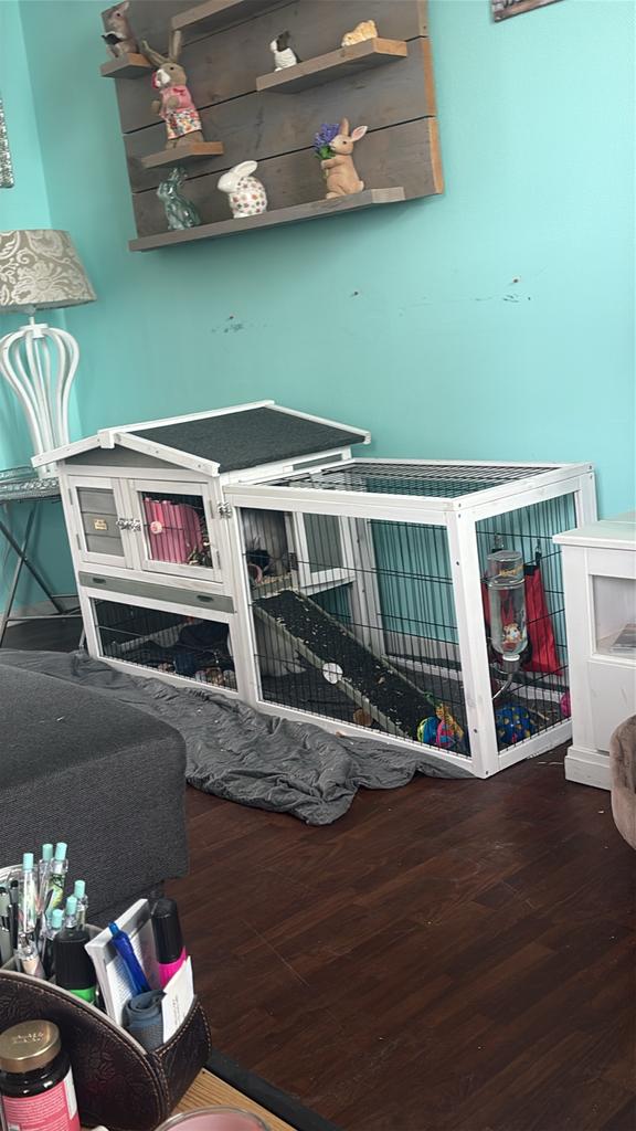 Konijnen kooi, Dieren en Toebehoren, Ophalen, Kooi, Minder dan 60 cm