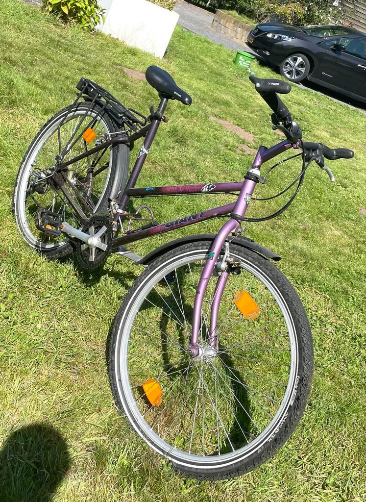 Giant kleine damesfiets met versnellingen, Fietsen en Brommers, Ophalen, Velgrem, Versnellingen, Giant