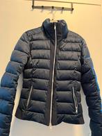 Eueostar winterjas dames, Dieren en Toebehoren, Paardrijkleding, Overige soorten, Ophalen of Verzenden, Zo goed als nieuw, Dames