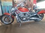 Harley VRSCA Vrod 2002, Motoren, Motoren | Harley-Davidson, Particulier