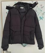 Fijne jas, Kleding | Heren, Ophalen, Zo goed als nieuw