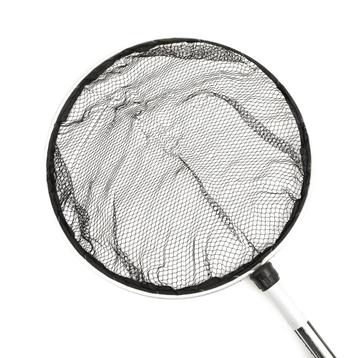 Koinet 60 cm met aluminium telescoopsteel beschikbaar voor biedingen