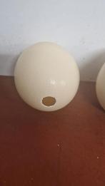 Struisvogelei, Ophalen of Verzenden, Rechthoekig, Minder dan 25 cm