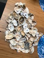 100 st. Ca 2 kg oesterschelpen tot 8 cm plat diep, Hobby en Vrije tijd, Knutselen, Ophalen, Nieuw, Materiaal