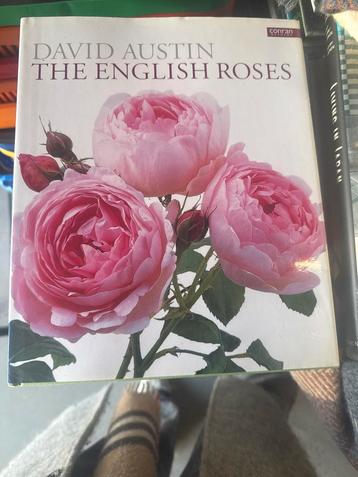 The English Roses - David Austin beschikbaar voor biedingen