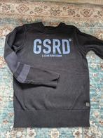 3 truien maat xs/S, Ophalen of Verzenden, Zo goed als nieuw, Maat 46 (S) of kleiner, Overige kleuren