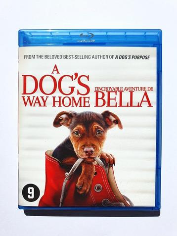 A Dog's Way Home beschikbaar voor biedingen