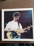 Zappa: Fits your 34B , no matter which 43B you are, Ophalen of Verzenden, Gebruikt, Poprock